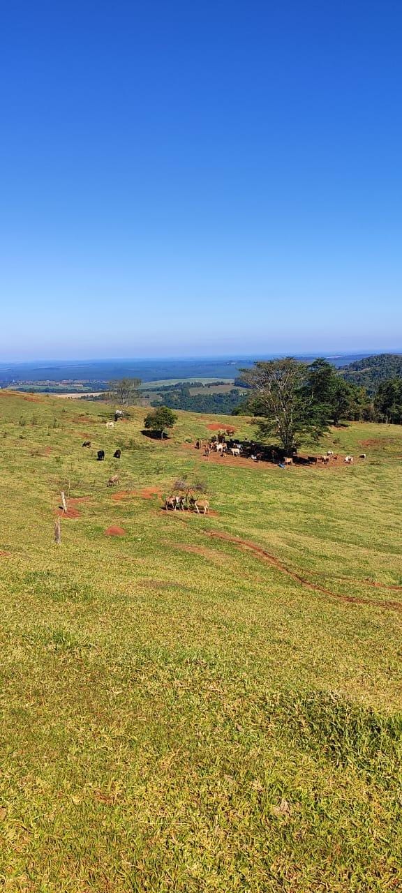 Fazenda à venda, Área Rural de Pardinho, Pardinho, SP