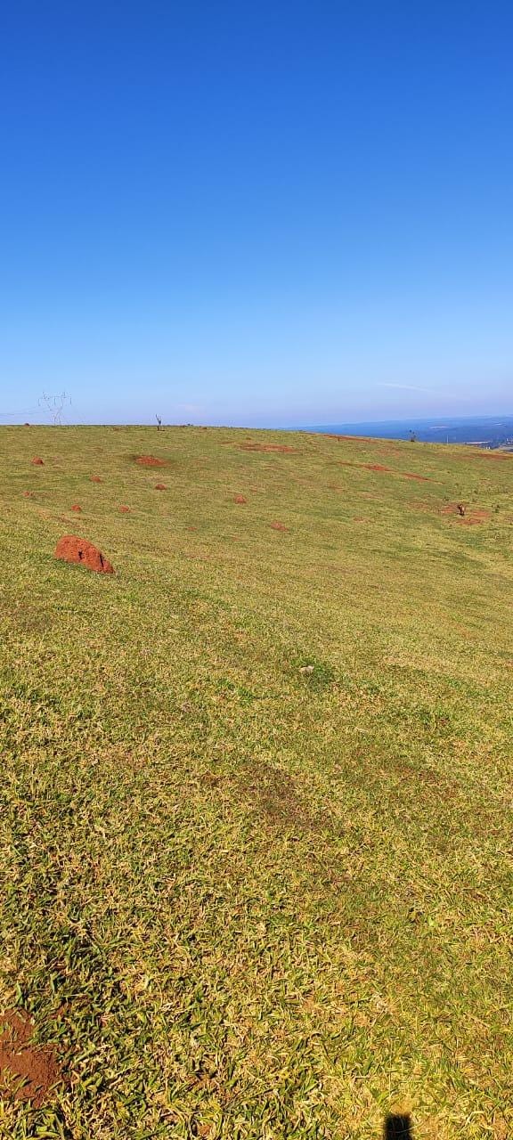Fazenda à venda, Área Rural de Pardinho, Pardinho, SP