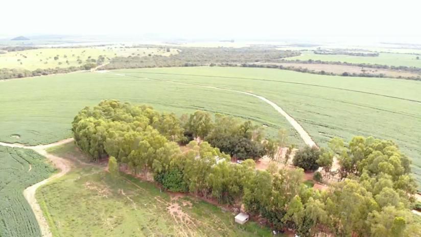 Fazenda 2149 hectares a venda, JÁ PLANTADO, PISTA DE POUSO-  Itiquira, MT