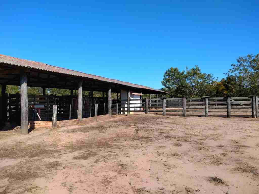 Fazenda 3000 hectares à venda , área plana, casa sede, barracão, poço artesiano, internet e 63 km da cidade de Campos de Julio MT