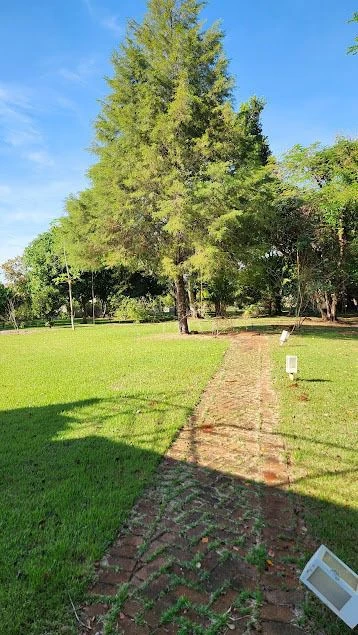 Fazenda, sítio ou chácara 2 quartos à venda em Recanto Santa Andréa, Cambé — Condominio Golf Ville - foto 3