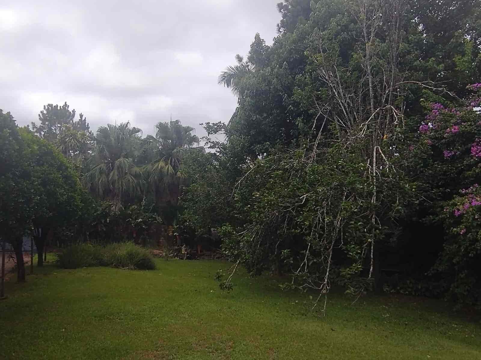 Chácara à venda, próximo ao Royal Forest, 3000 m² total, com casa 300m² de construção, 3 quartos sendo 1 suíte, Shangri-lá, Londrina, PR