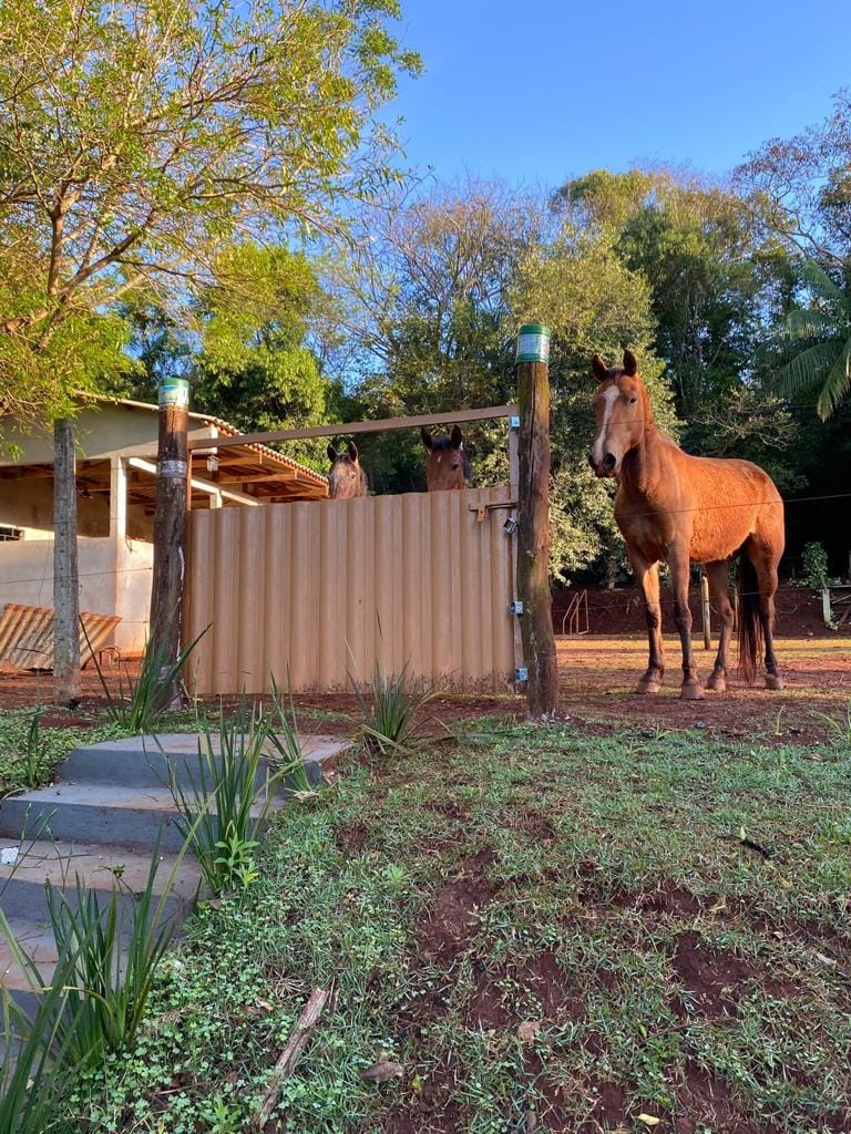 Chácara à Venda, fazenda nata, casa com 250m² de construção, 3 quartos sendo 1 suite -  Londrina, PR