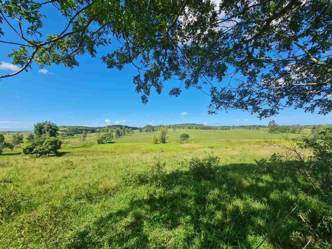 Fazenda à Venda, sao vicente, Araruama, RJ