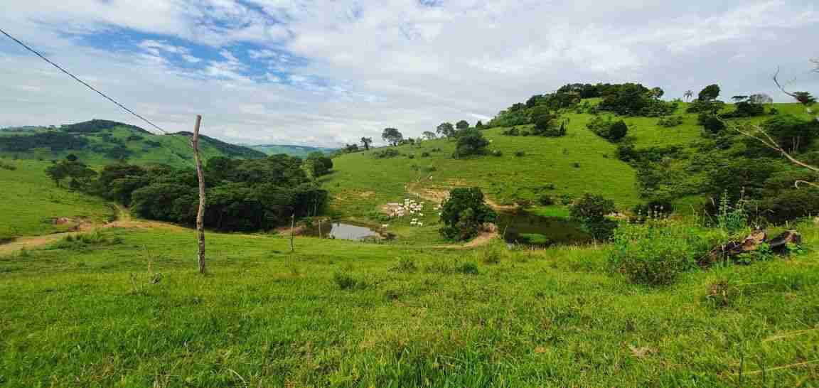 Oportunidade Fazenda 160 alqueires à venda, poço artesiano, 02 casas, perto de Ortigueira Pr