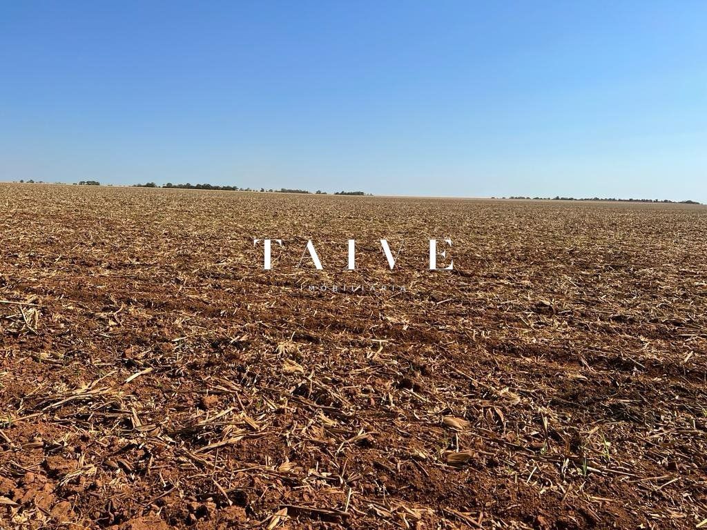 Fazenda 850 hectares à venda, em Sapezal MT, plantio soja e milho plana e mecanizável, com infraestrutura