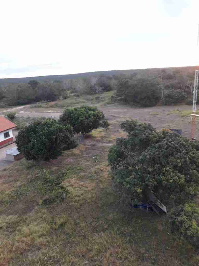 Fazenda 3000 hectares à venda , área plana, casa sede, barracão, poço artesiano, internet e 63 km da cidade de Campos de Julio MT
