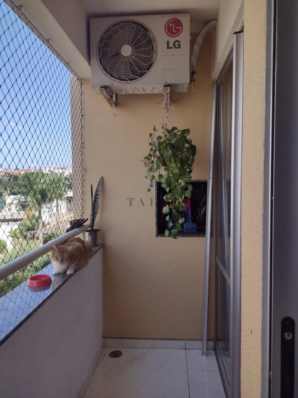 Apartamento Marco dos Pioneiros Zona Leste com Sacada 2 Quartos Sol da Manha Andar Médio Vaga de Garagem Coberta - foto 9