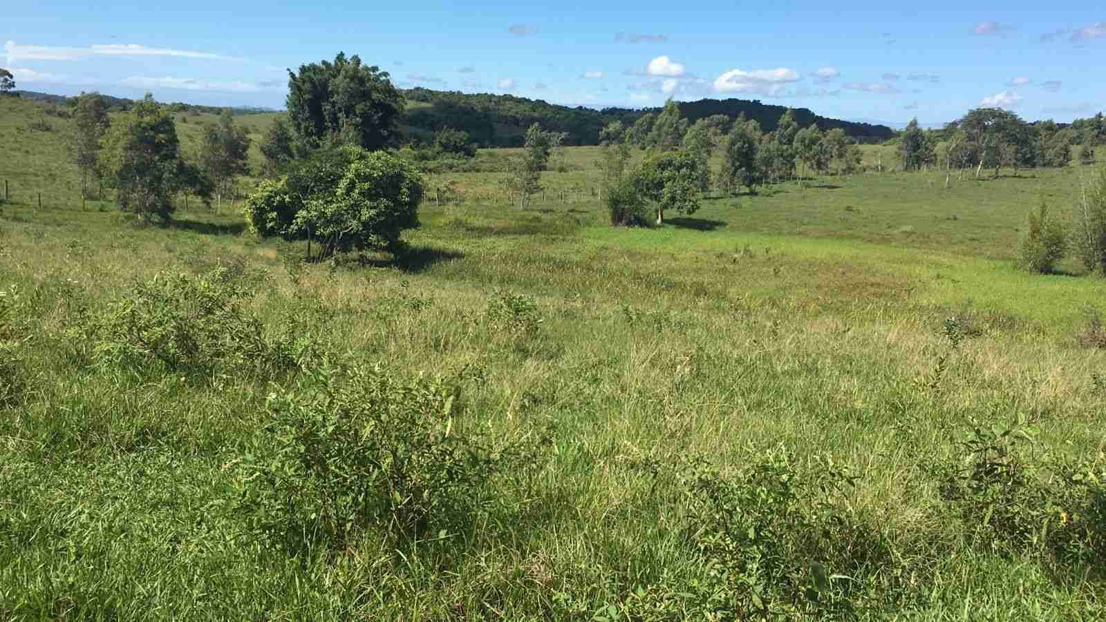 Fazenda à Venda, sao vicente, Araruama, RJ