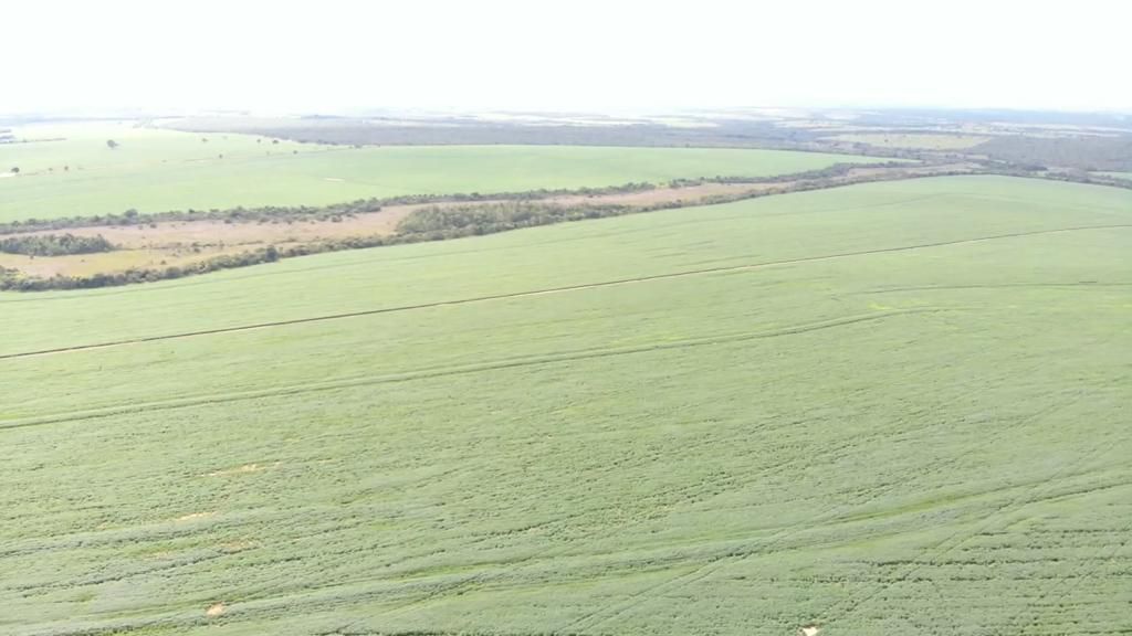 Fazenda 2149 hectares a venda, JÁ PLANTADO, PISTA DE POUSO-  Itiquira, MT