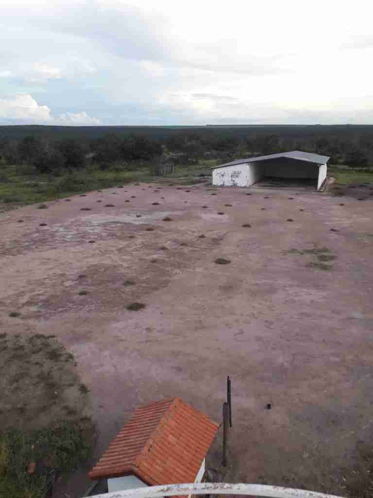 Fazenda 3000 hectares à venda , área plana, casa sede, barracão, poço artesiano, internet e 63 km da cidade de Campos de Julio MT