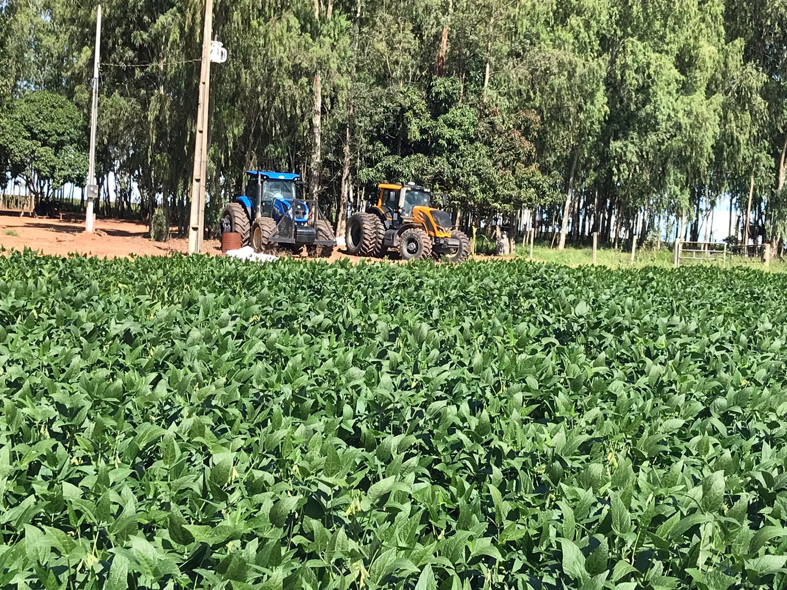 Fazenda 2149 hectares a venda, JÁ PLANTADO, PISTA DE POUSO-  Itiquira, MT