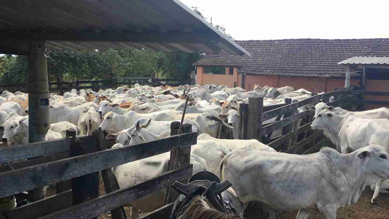 Fazenda à Venda, sao vicente, Araruama, RJ
