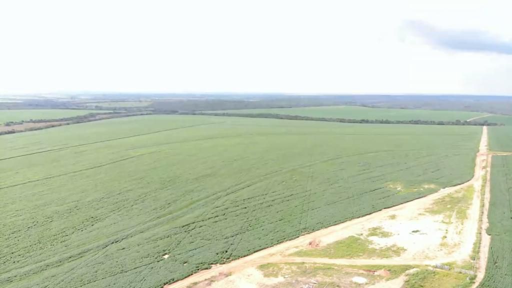 Fazenda 2149 hectares a venda, JÁ PLANTADO, PISTA DE POUSO-  Itiquira, MT