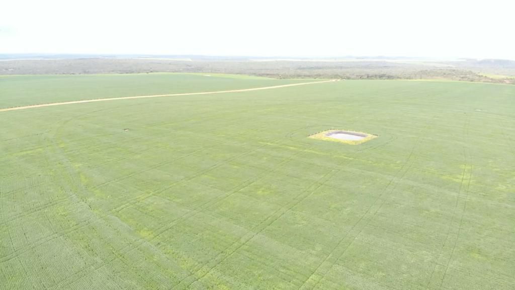 Fazenda 2149 hectares a venda, JÁ PLANTADO, PISTA DE POUSO-  Itiquira, MT