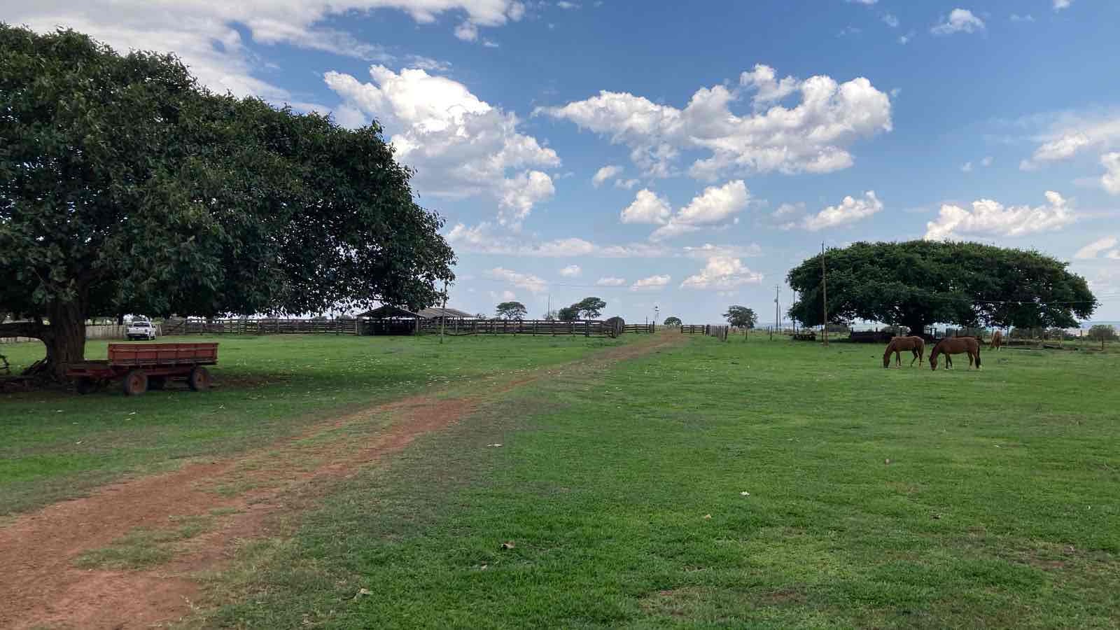 Fazenda à venda, 3000 hectares região de  Alto Garças, MT, 1400 ha abertos e agricultáveis, poço artesiano, casa sede, casa funcionário