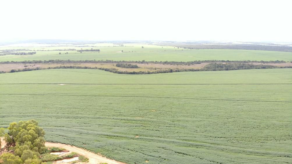 Fazenda 2149 hectares a venda, JÁ PLANTADO, PISTA DE POUSO-  Itiquira, MT