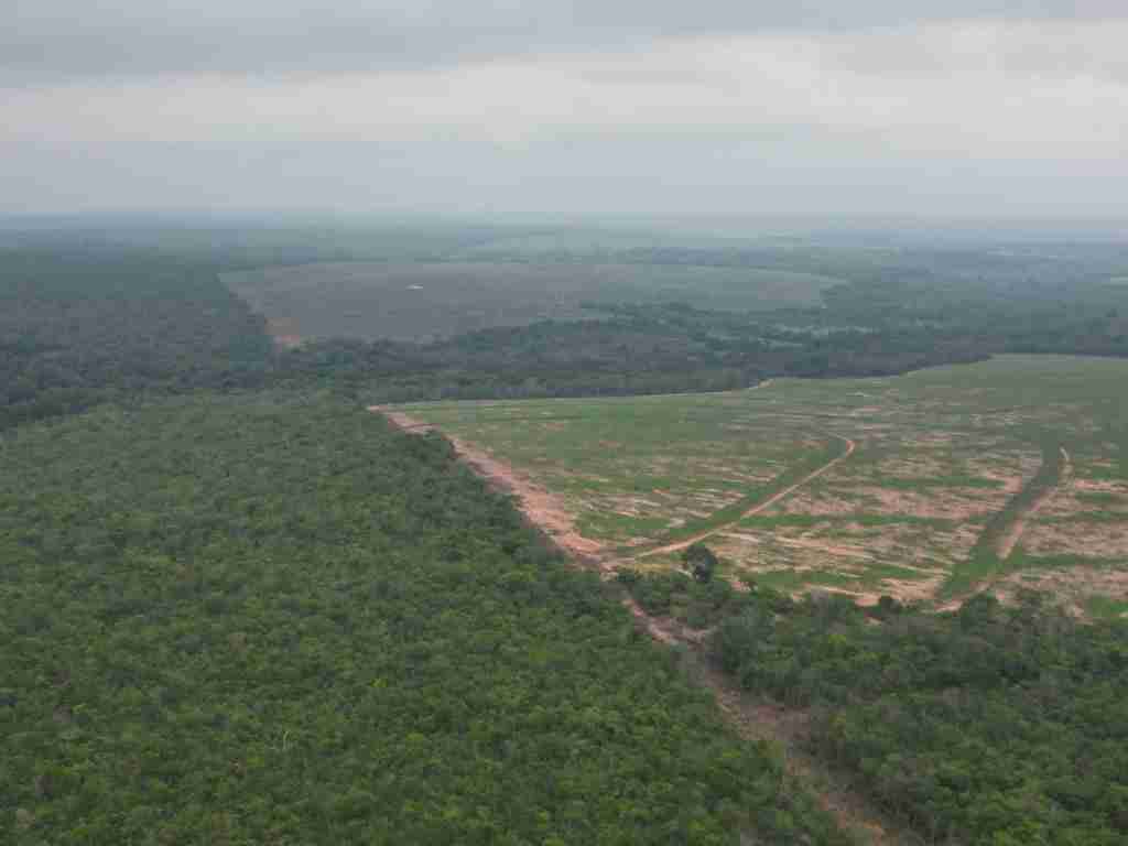 Fazenda 3000 hectares à venda , área plana, casa sede, barracão, poço artesiano, internet e 63 km da cidade de Campos de Julio MT