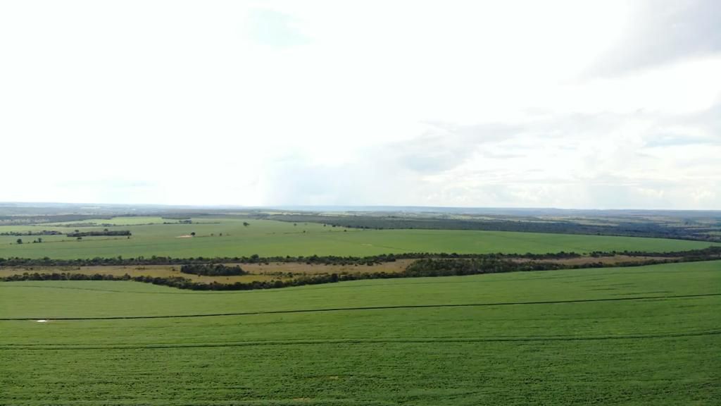 Fazenda 2149 hectares a venda, JÁ PLANTADO, PISTA DE POUSO-  Itiquira, MT