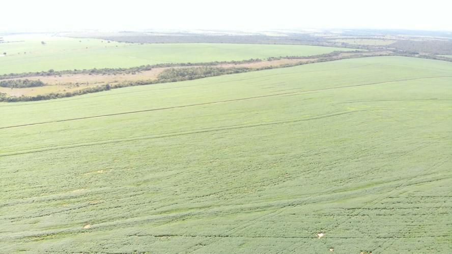 Fazenda 2149 hectares a venda, JÁ PLANTADO, PISTA DE POUSO-  Itiquira, MT