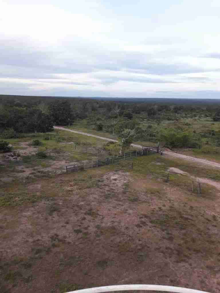 Fazenda 3000 hectares à venda , área plana, casa sede, barracão, poço artesiano, internet e 63 km da cidade de Campos de Julio MT