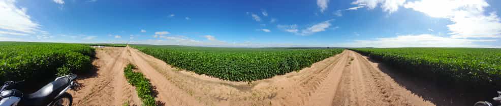 Fazenda 2149 hectares a venda, JÁ PLANTADO, PISTA DE POUSO-  Itiquira, MT