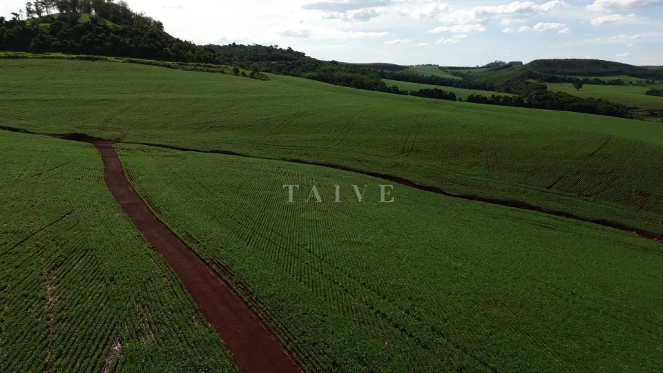 Imagens do imóveis Fazenda/Sítios/Chácaras À Venda São Luiz Londrina