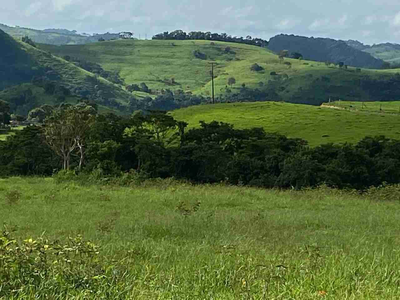 Oportunidade Fazenda 160 alqueires à venda, poço artesiano, 02 casas, perto de Ortigueira Pr