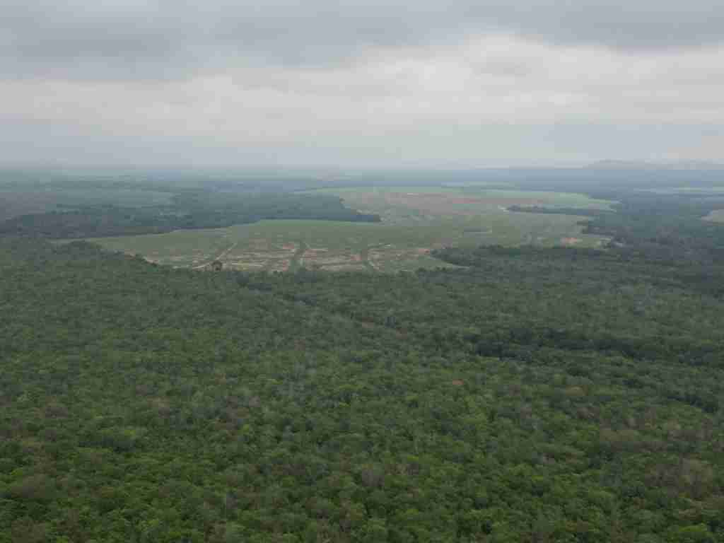 Fazenda 3000 hectares à venda , área plana, casa sede, barracão, poço artesiano, internet e 63 km da cidade de Campos de Julio MT