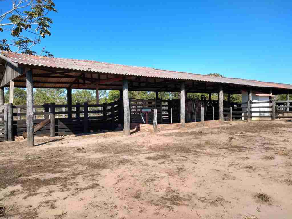 Fazenda 3000 hectares à venda , área plana, casa sede, barracão, poço artesiano, internet e 63 km da cidade de Campos de Julio MT