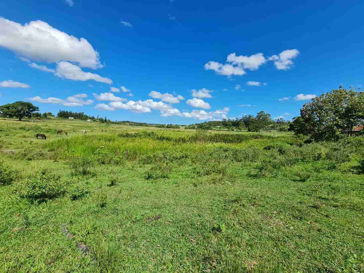 Fazenda à Venda, sao vicente, Araruama, RJ