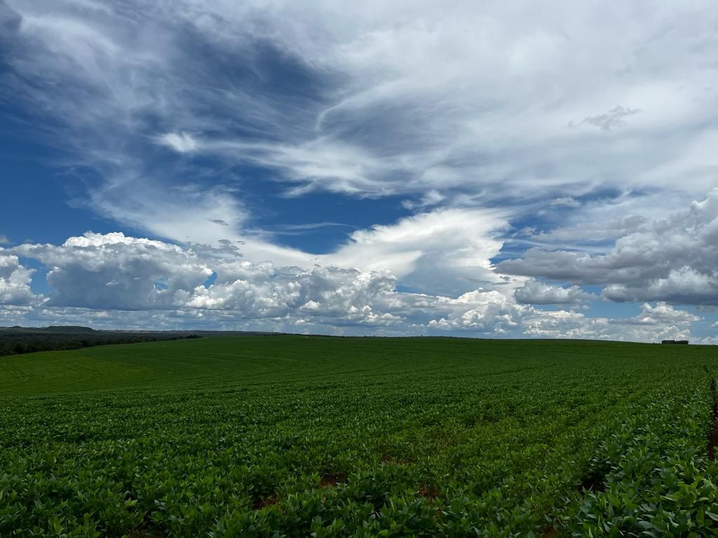 Fazenda 2149 hectares a venda, JÁ PLANTADO, PISTA DE POUSO-  Itiquira, MT