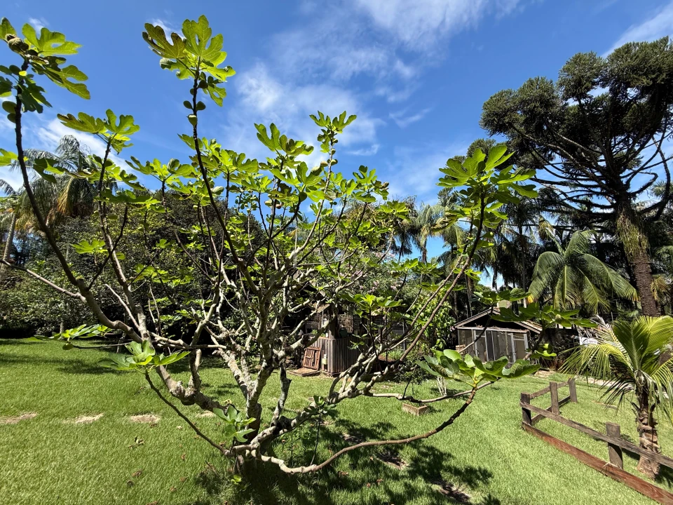 Fazenda, sítio ou chácara 2 quartos à venda em Esperança, Londrina — Ecovillas do Lago - foto 4