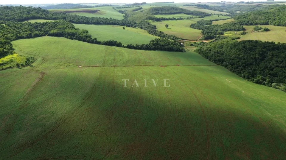Imagens do imóveis Fazenda/Sítios/Chácaras À Venda São Luiz Londrina