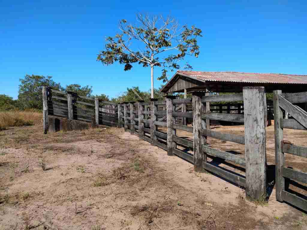 Fazenda 3000 hectares à venda , área plana, casa sede, barracão, poço artesiano, internet e 63 km da cidade de Campos de Julio MT