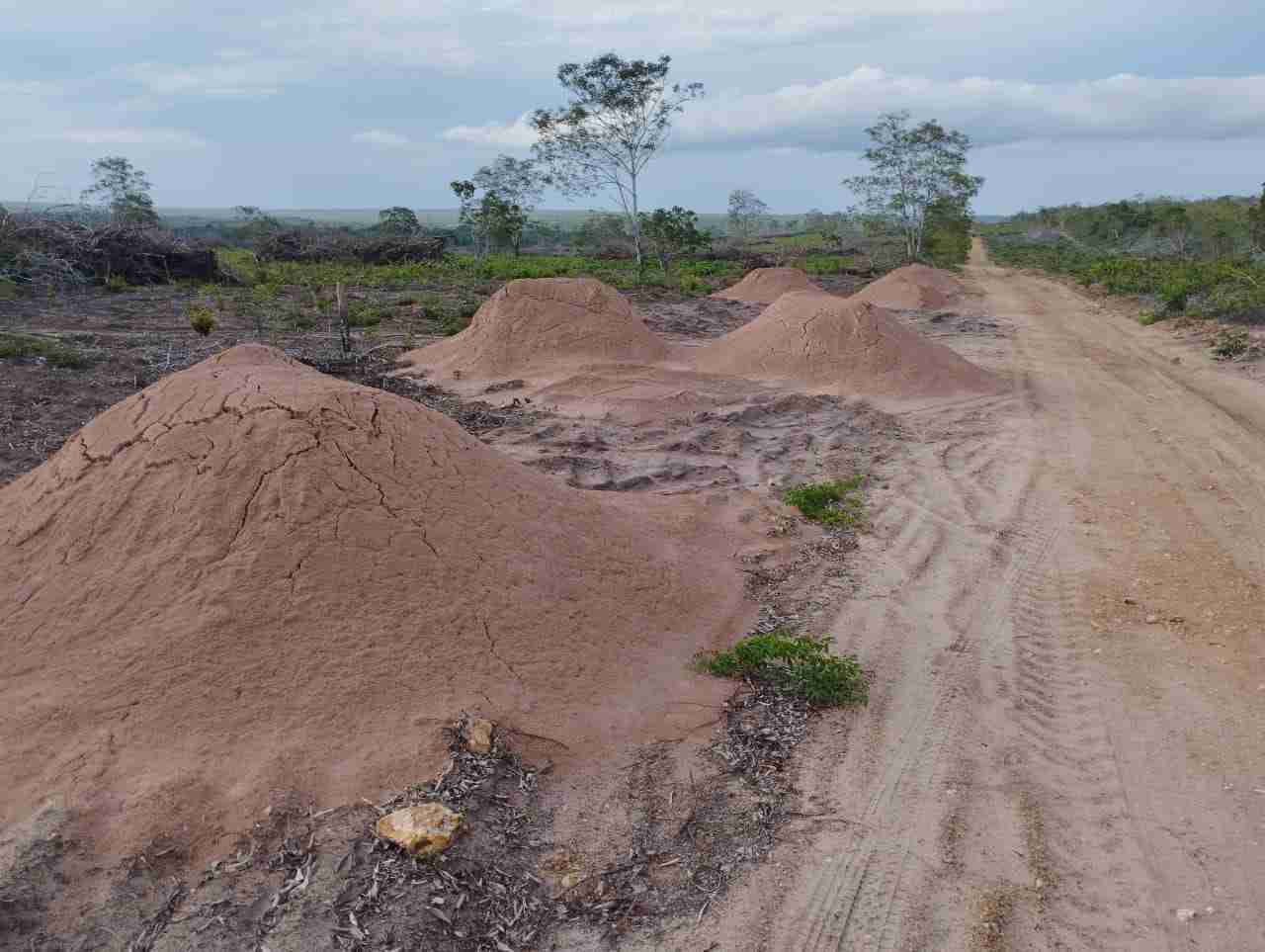 Fazenda 3000 hectares à venda , área plana, casa sede, barracão, poço artesiano, internet e 63 km da cidade de Campos de Julio MT