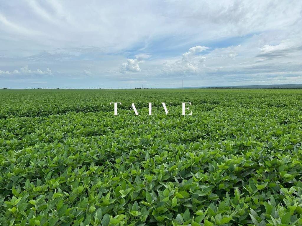 Fazenda 850 hectares à venda, em Sapezal MT, plantio soja e milho plana e mecanizável, com infraestrutura