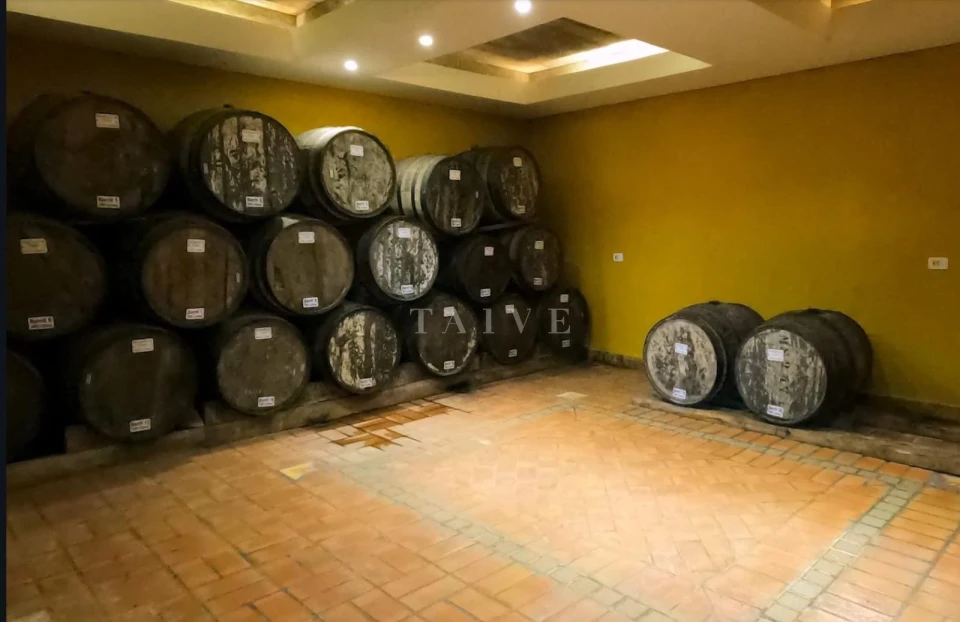 Fazenda, sítio ou chácara à venda em Centro, São Miguel Arcanjo — Residencial Estância Pousada Tucunaré - foto 5