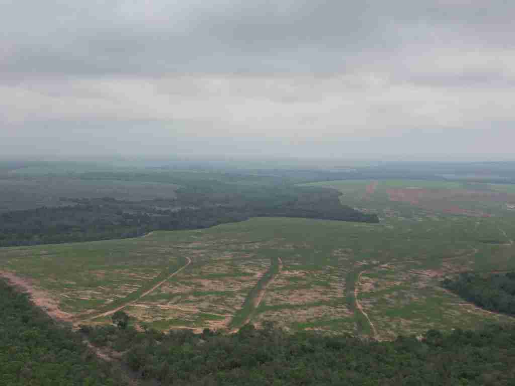 Fazenda 3000 hectares à venda , área plana, casa sede, barracão, poço artesiano, internet e 63 km da cidade de Campos de Julio MT