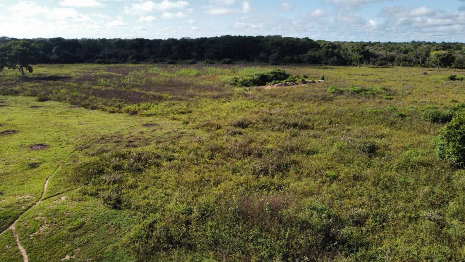 Fazenda à venda, treze mil hectares, cortada pela rodovia MT 40, Cuiabá, MT