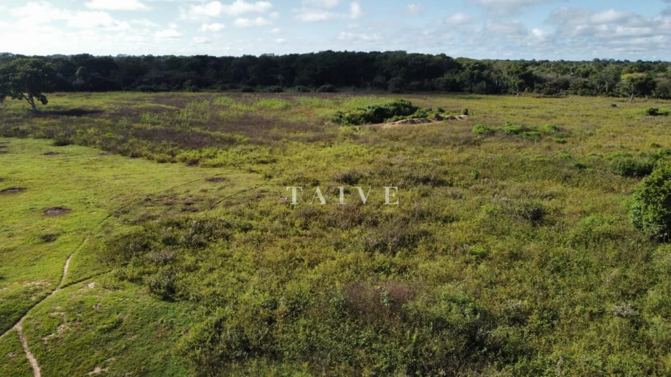 Fazenda, sítio ou chácara 1 quarto à venda em ZONA RURAL, Barão de Melgaço — Residencial Estância Pousada Tucunaré - foto 5