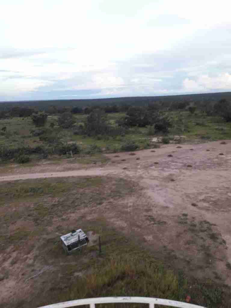 Fazenda 3000 hectares à venda , área plana, casa sede, barracão, poço artesiano, internet e 63 km da cidade de Campos de Julio MT