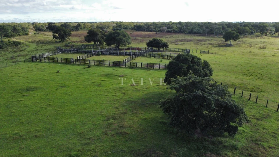Fazenda, sítio ou chácara 1 quarto à venda em ZONA RURAL, Barão de Melgaço — Residencial Estância Pousada Tucunaré - foto 6