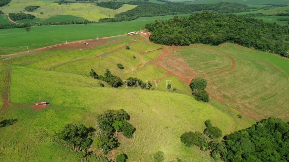 Imagens do imóveis Fazenda/Sítios/Chácaras À Venda São Luiz Londrina