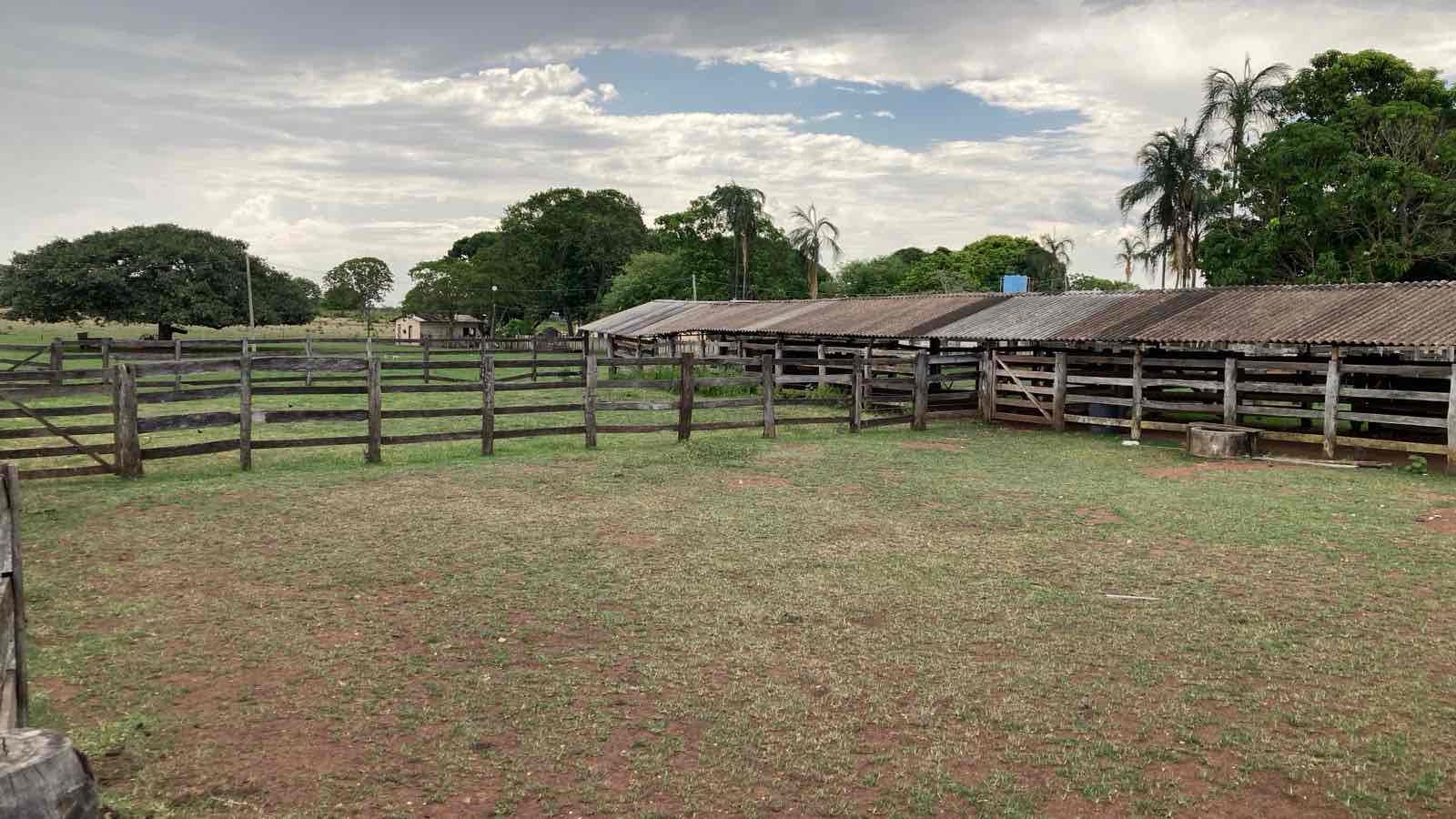 Fazenda à venda, 3000 hectares região de  Alto Garças, MT, 1400 ha abertos e agricultáveis, poço artesiano, casa sede, casa funcionário