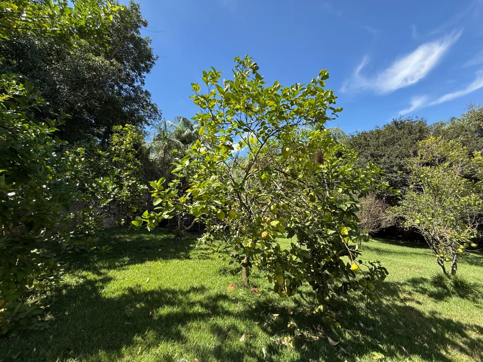 Fazenda, sítio ou chácara 2 quartos à venda em Esperança, Londrina — Ecovillas do Lago - foto 5