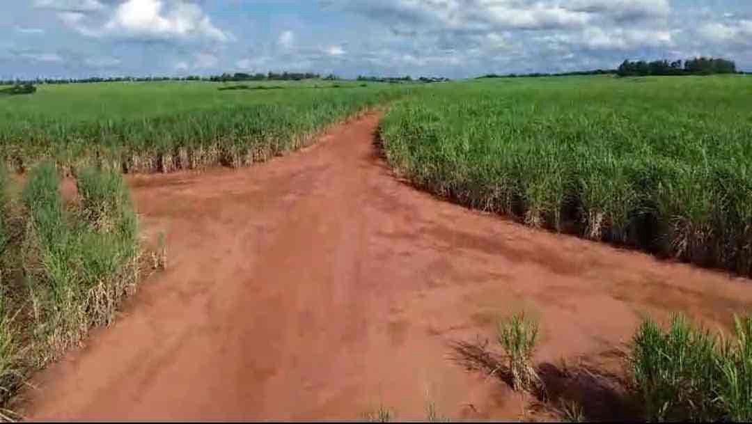 Fazenda à venda, 224 alqueires, 208 alqueires em plantação de cana inclusive arrendada na região Município de  Guaraci PR