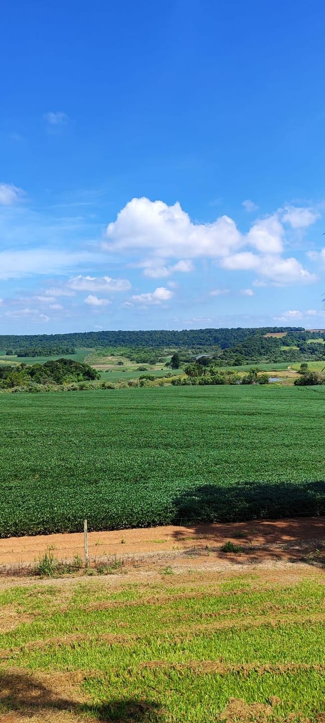 Fazenda à venda, Área Rural de Campos de Holambra, Paranapanema, SP