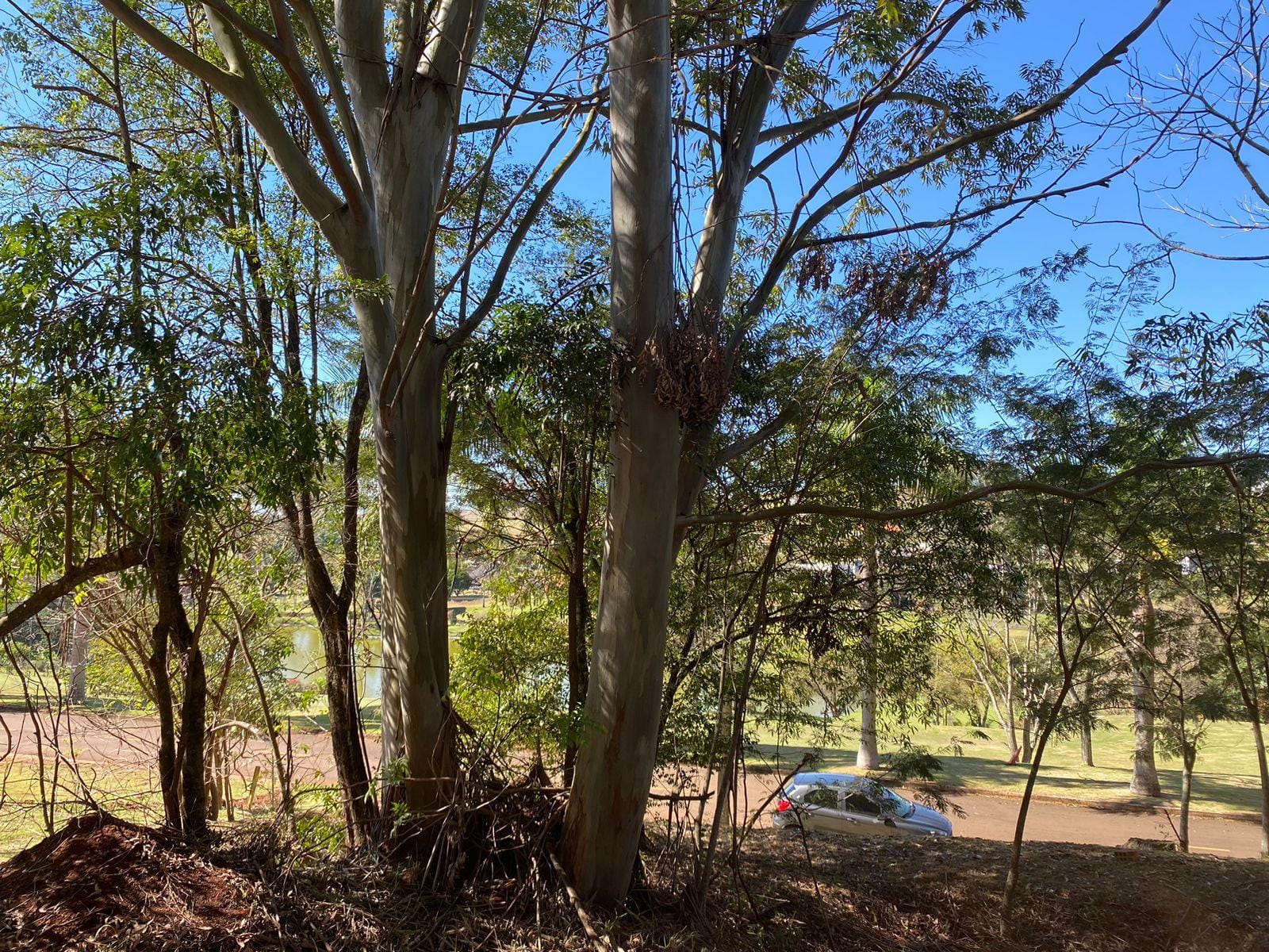 Terreno à Venda, total 3127m² em Condomínio Terras de Canaã -  Cambé PR