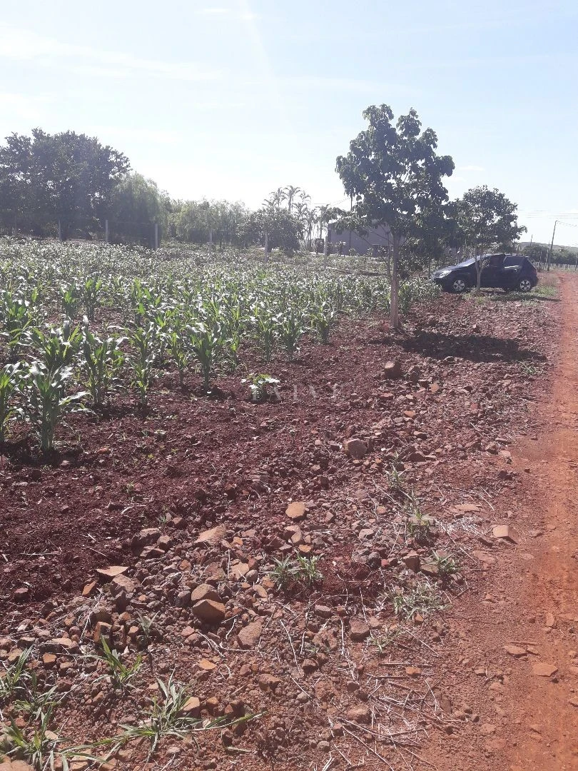 Imagens do imóveis ESTÂNCIA FAVORETTO CHACARA COM 2040M2 VALOR DE OPORTUNIDADE ACEITA PERMUTA